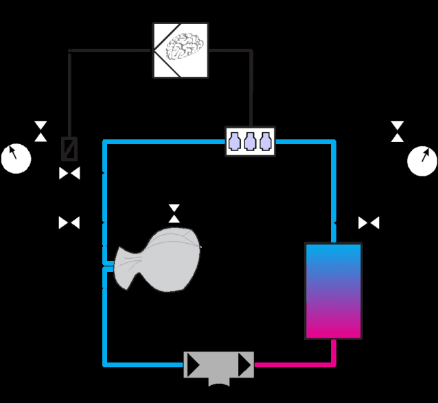 Schematic of an electronic closed-circuit rebreather: oxygen and diluent cylinders, a CPU controlling solenoid valves that inject oxygen automatically, oxygen cells and a counterlung