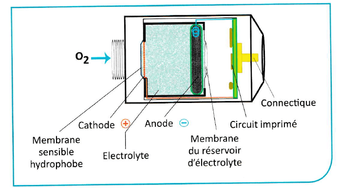 Cutaway of a galvanic oxygen cell: oxygen diffuses through the hydrophobic sensing membrane to the cathode, reacting with the lead anode in the electrolyte to generate a current read by the printed circuit